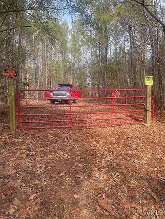 45 Acres of Land for Sale in Brookwood, Alabama