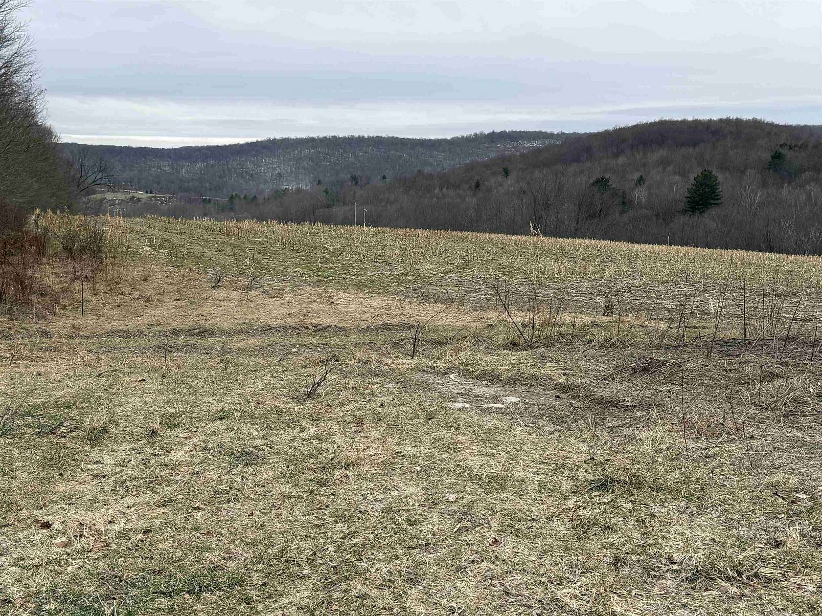 170 Acres of Land for Sale in Rupert, Vermont