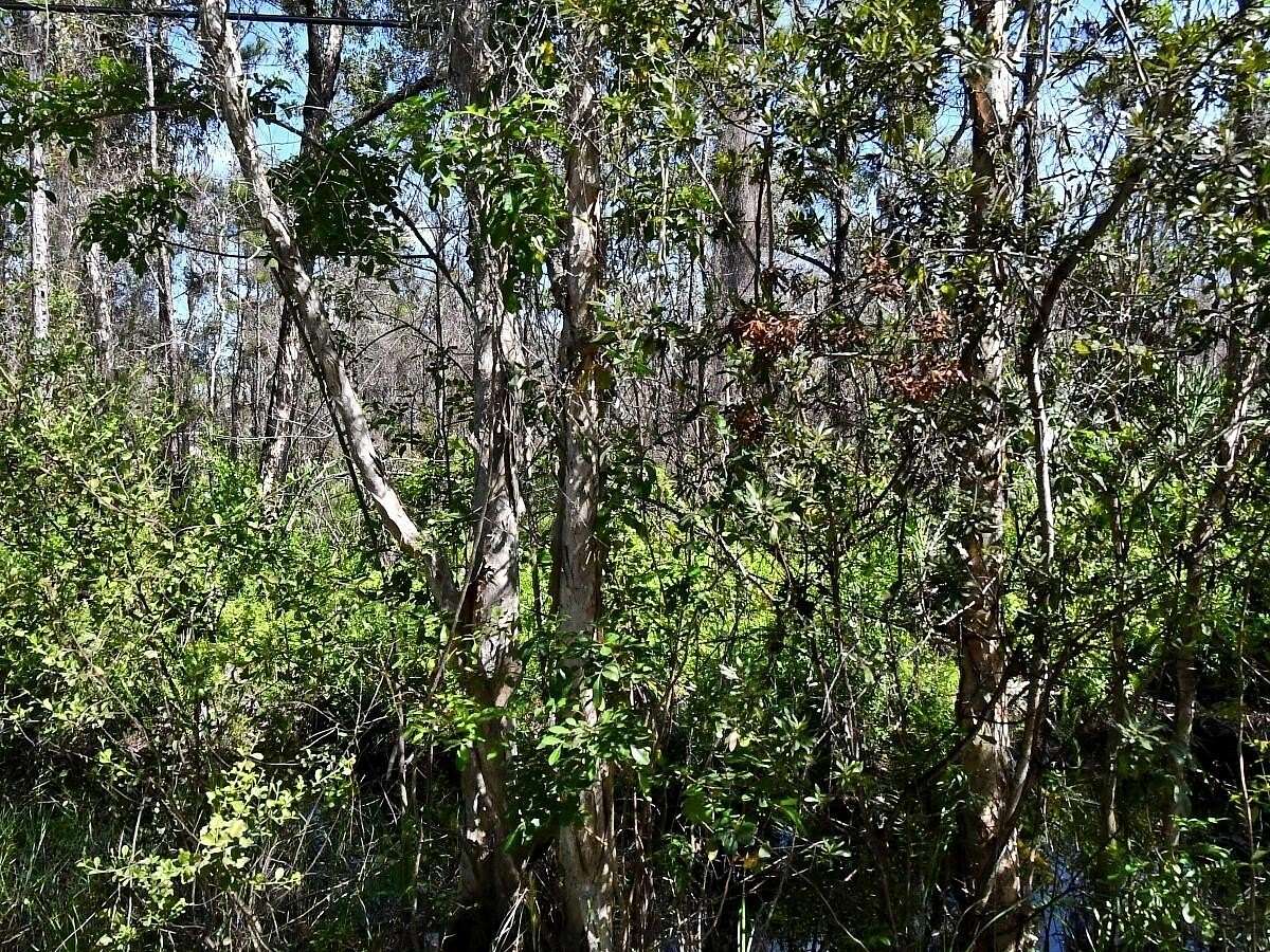 1.25 Acres of Land for Sale in Fort Pierce, Florida