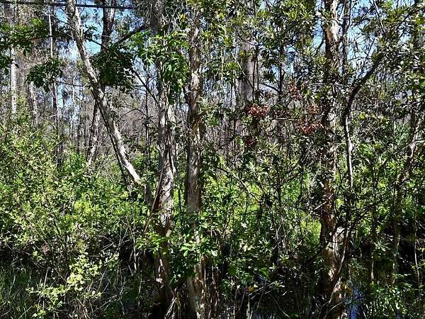 1.25 Acres of Land for Sale in Fort Pierce, Florida