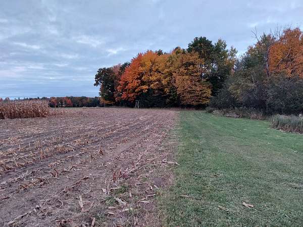 25.5 Acres of Recreational Land & Farm for Sale in Rosholt, Wisconsin
