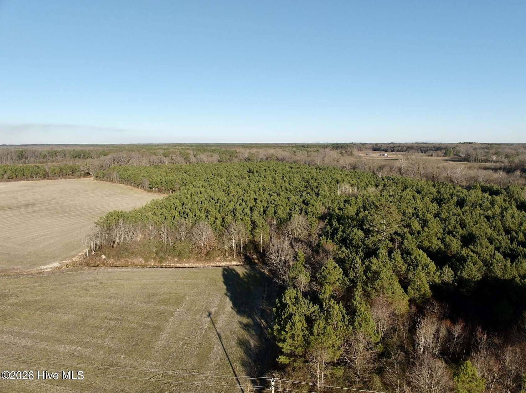 35.4 Acres of Land for Sale in Ahoskie, North Carolina