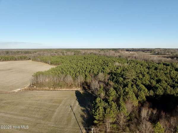 35.4 Acres of Land for Sale in Ahoskie, North Carolina