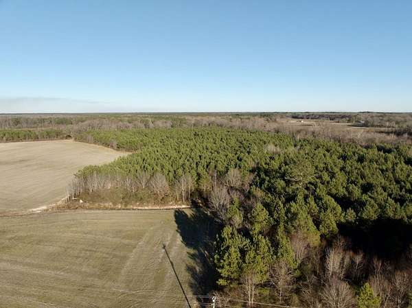 35.4 Acres of Recreational Land for Sale in Ahoskie, North Carolina