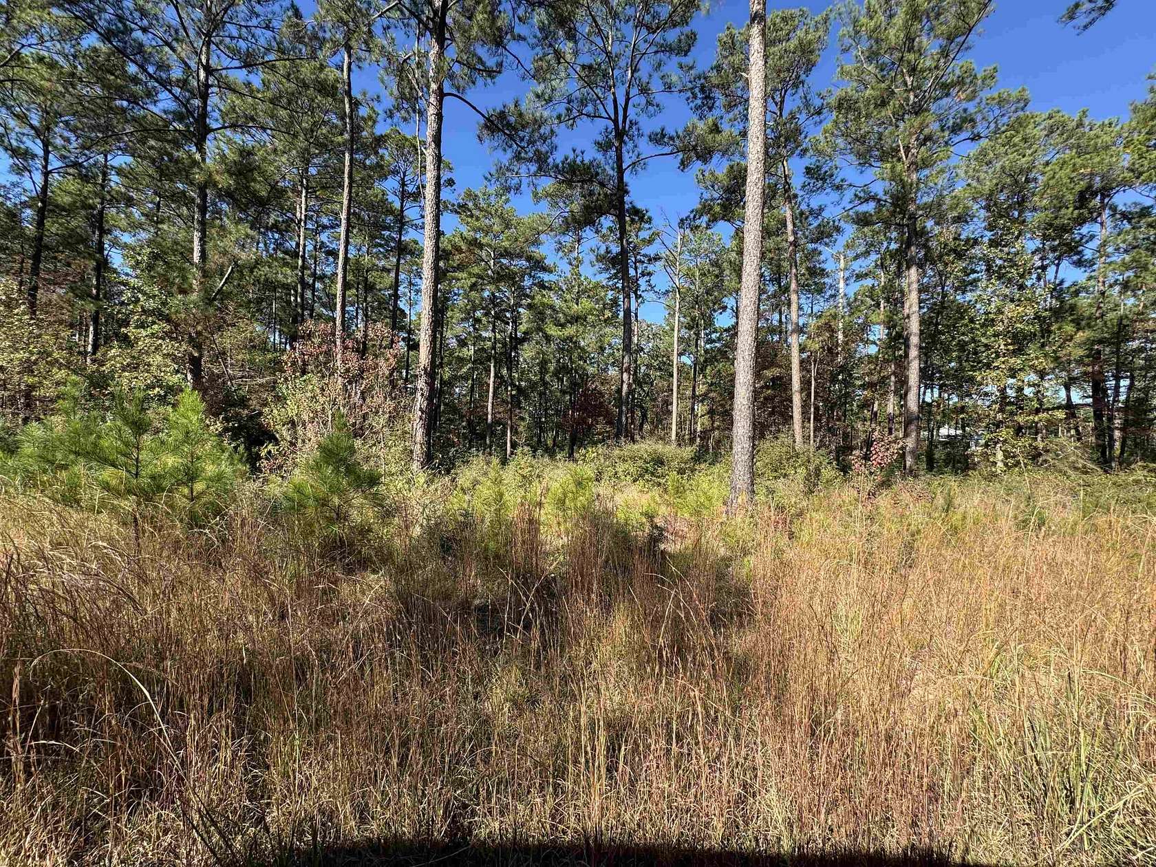 1 Acre of Residential Land for Sale in Brookeland, Texas