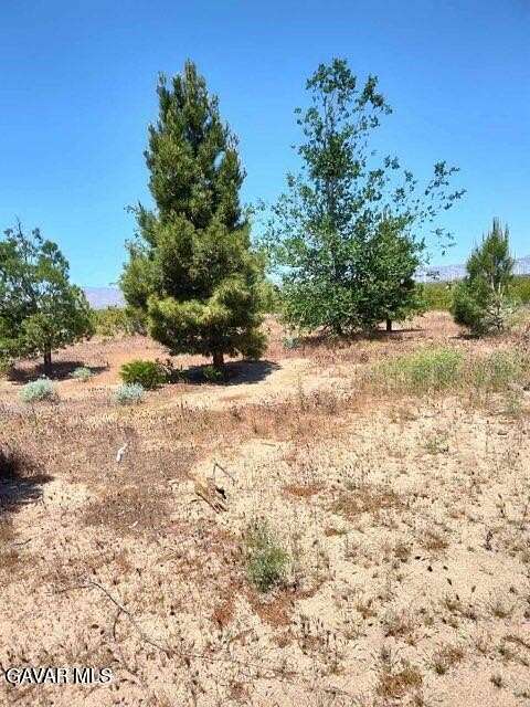 Residential Land for Sale in Mojave, California
