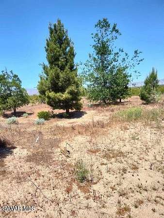 Residential Land for Sale in Mojave, California
