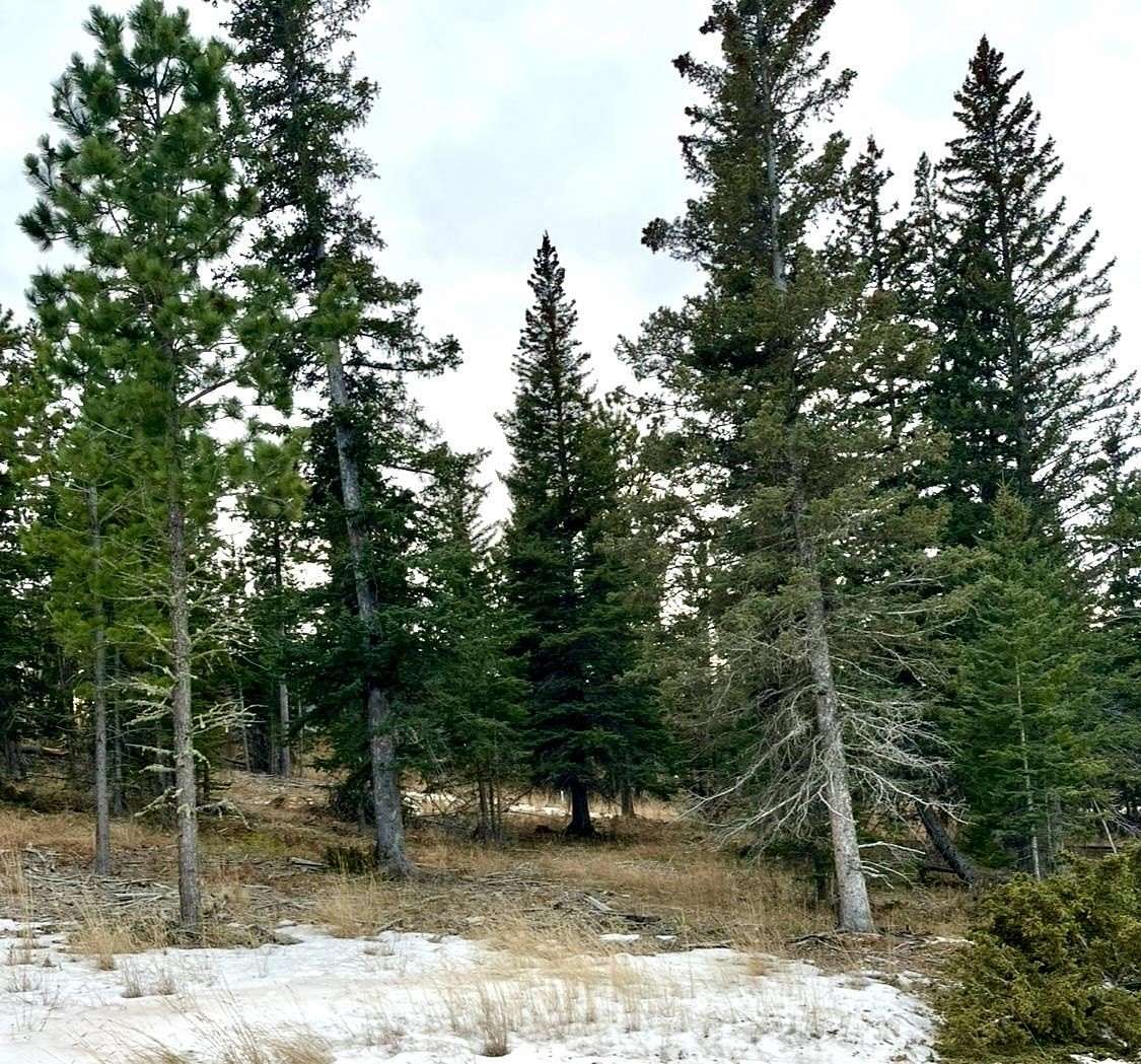 0.51 Acres of Residential Land for Sale in Lead, South Dakota