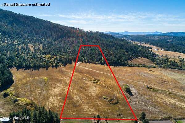 20 Acres of Recreational & Residential Land for Sale in Plummer, Idaho