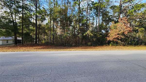 0.29 Acres of Residential Land for Sale in Citrus Springs, Florida