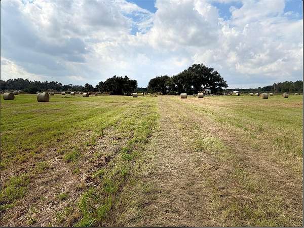11 Acres of Land for Sale in Lithia, Florida