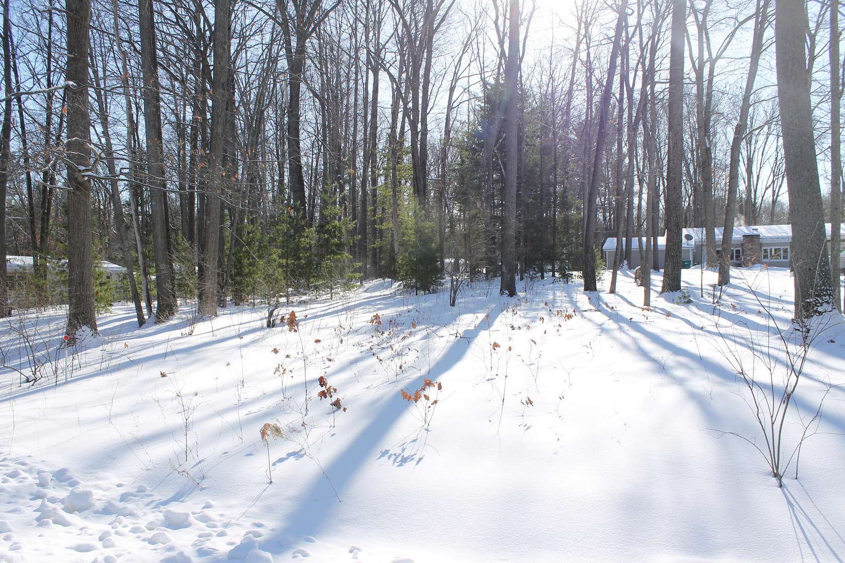 0.48 Acres of Land for Sale in Prudenville, Michigan