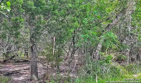 0.37 Acres of Land for Sale in Selma, Texas