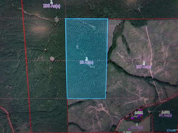 80 Acres of Recreational Land for Sale in Centre, Alabama