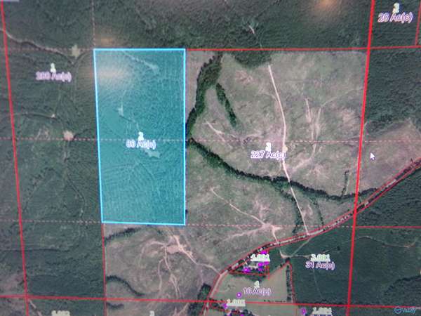 80 Acres of Recreational Land for Sale in Centre, Alabama