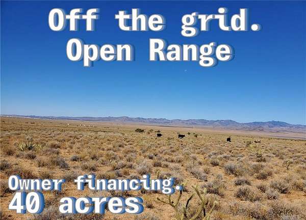 40 Acres of Recreational Land for Sale in Kingman, Arizona