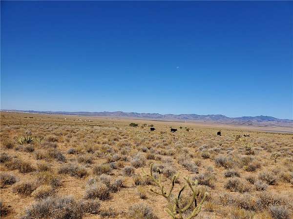 40 Acres of Recreational Land for Sale in Kingman, Arizona