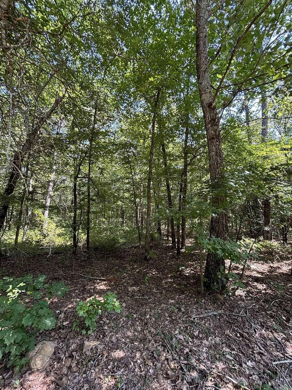 1 Acre of Residential Land for Sale in Clinton, Arkansas