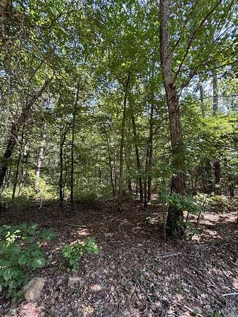 1 Acre of Residential Land for Sale in Clinton, Arkansas