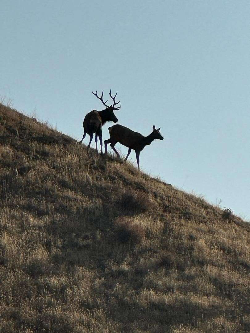 1,756 Acres of Land with Home for Sale in Paicines, California