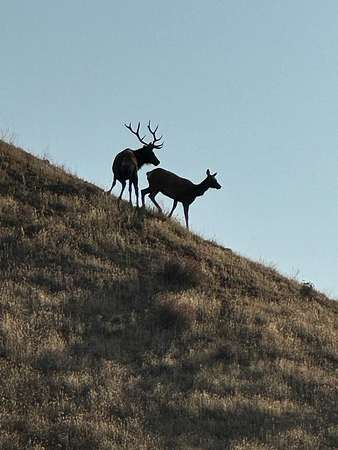 1,756 Acres of Land with Home for Sale in Paicines, California