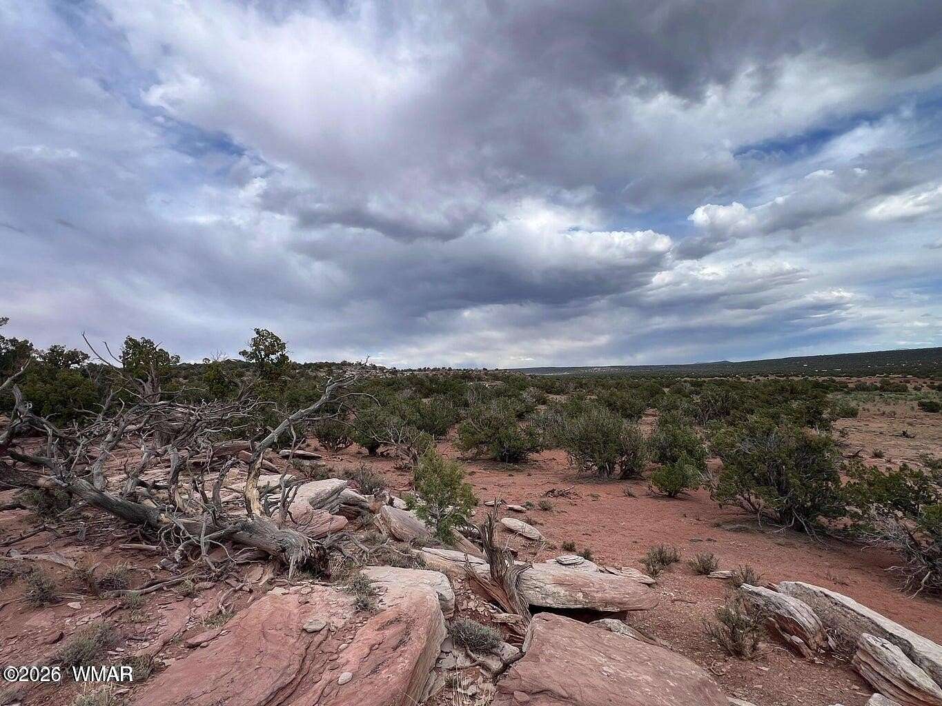 42 Acres of Land for Sale in Show Low, Arizona