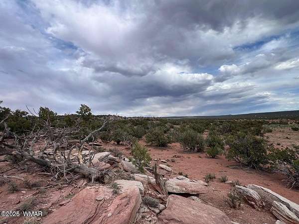 42 Acres of Land for Sale in Show Low, Arizona