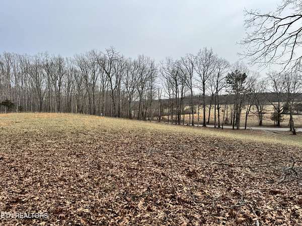 5 Acres of Agricultural Land for Sale in Rockwood, Tennessee