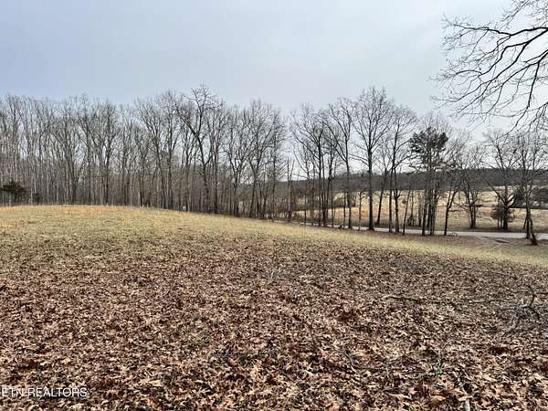 5 Acres of Residential Land for Sale in Rockwood, Tennessee