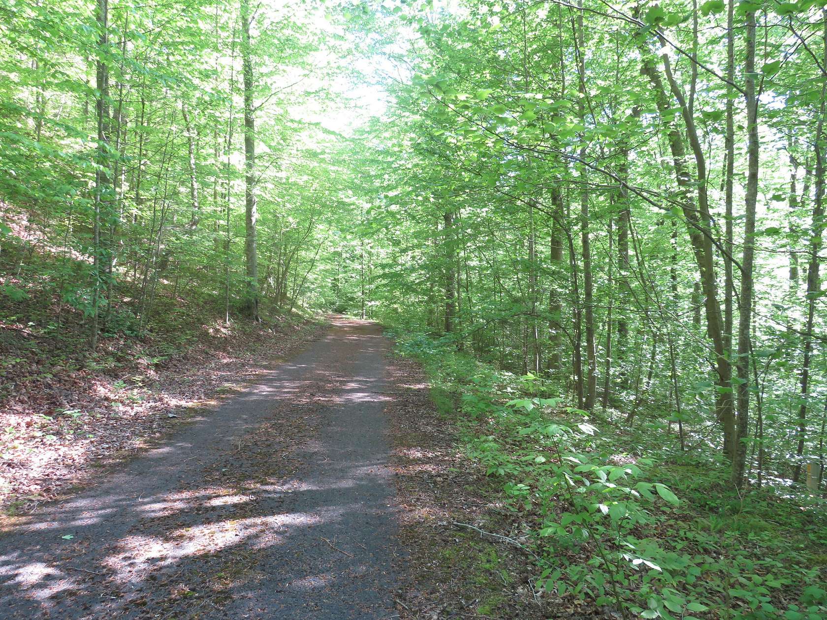 2.47 Acres of Land for Sale in Russell Springs, Kentucky