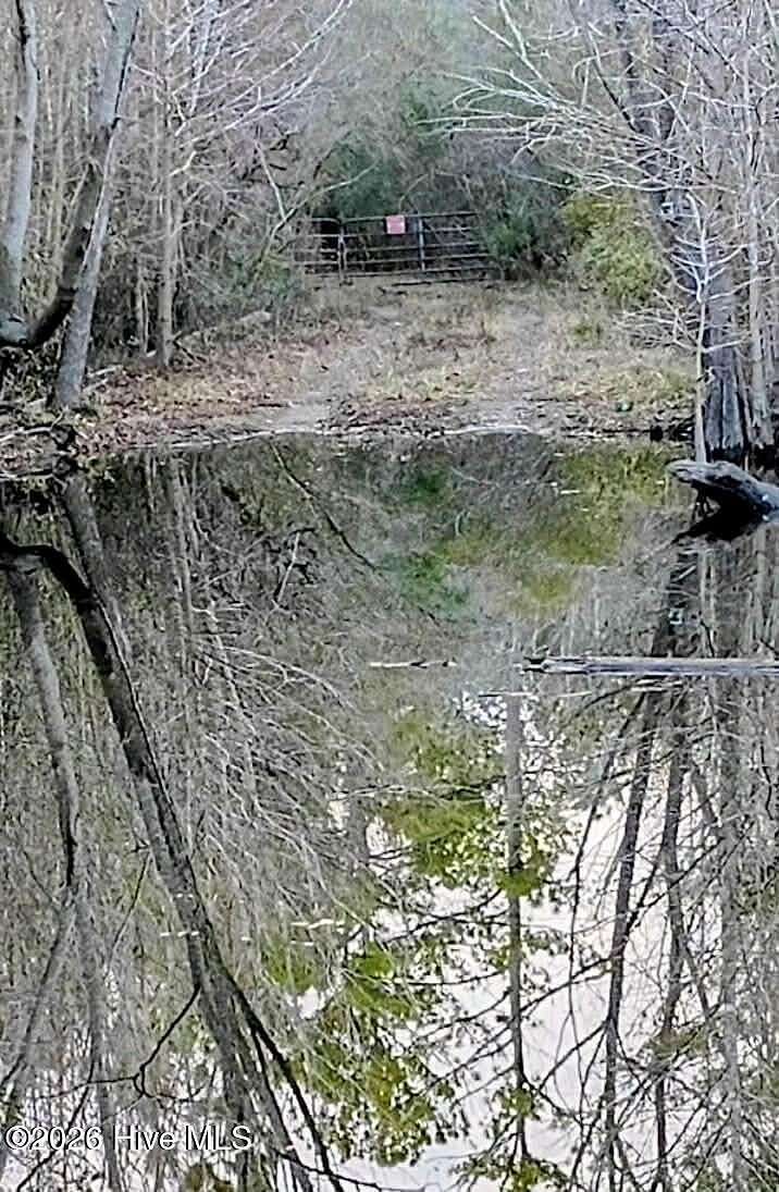 290 Acres of Recreational Land for Sale in Ash, North Carolina