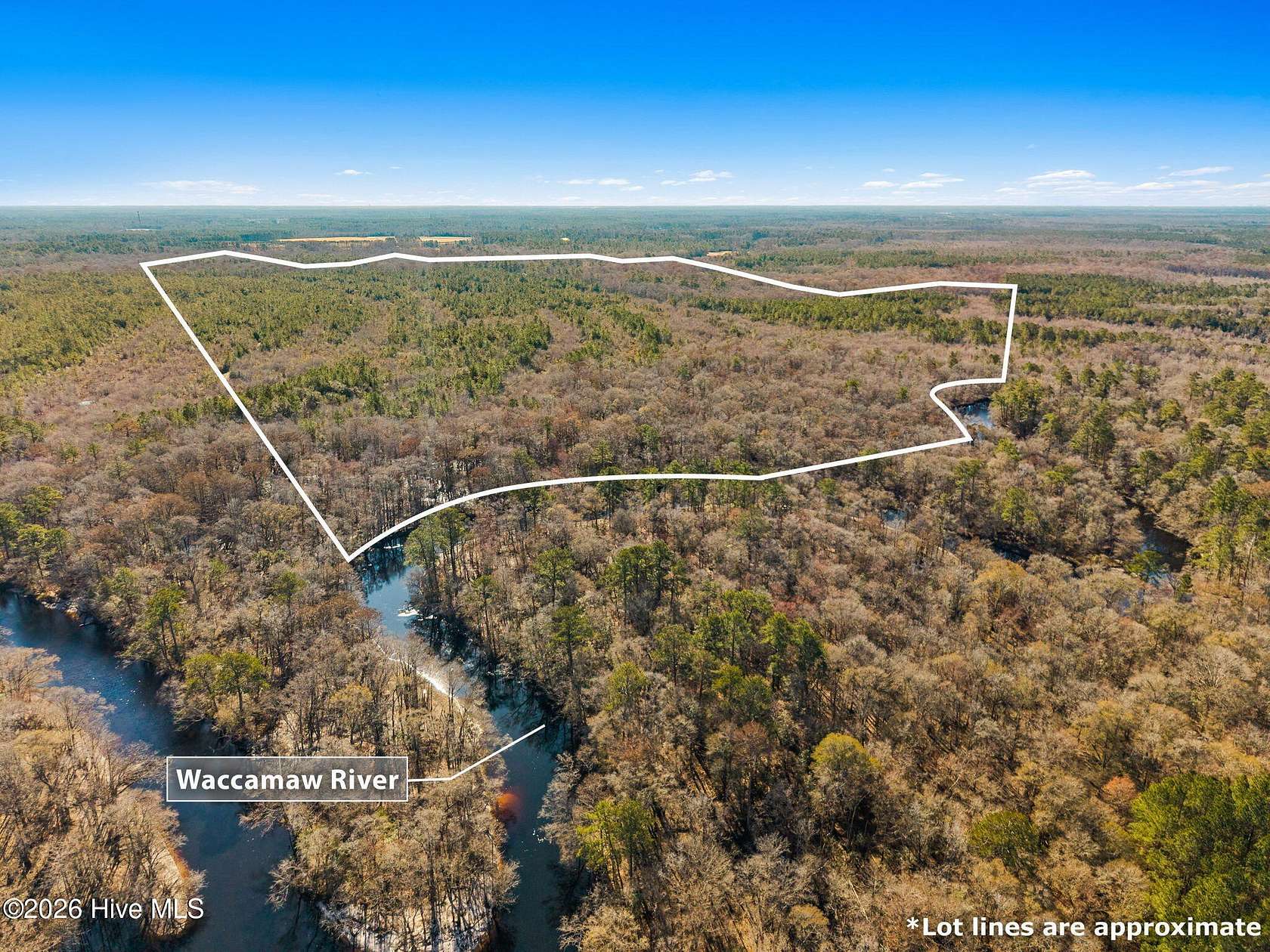 290 Acres of Recreational & Residential Land for Sale in Ash, North Carolina