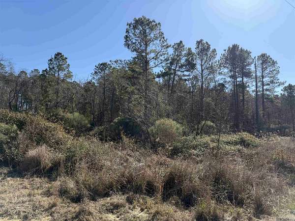 0.6 Acres of Residential Land for Sale in Livingston, Louisiana