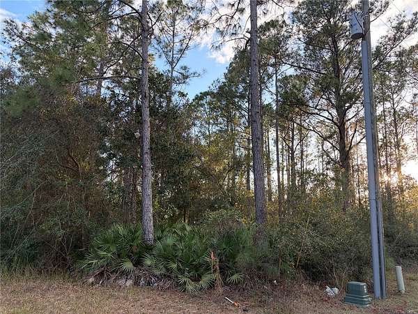1.25 Acres of Land for Sale in Clermont, Florida