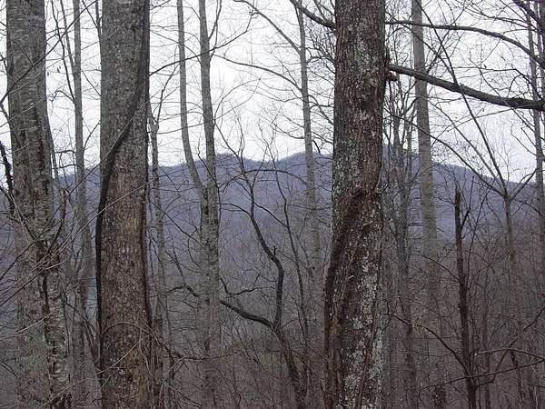 1.3 Acres of Residential Land for Sale in Hiawassee, Georgia