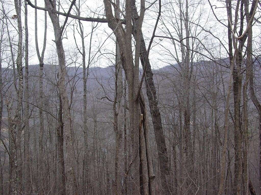 1.3 Acres of Residential Land for Sale in Hiawassee, Georgia