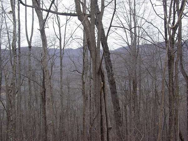 1.3 Acres of Residential Land for Sale in Hiawassee, Georgia