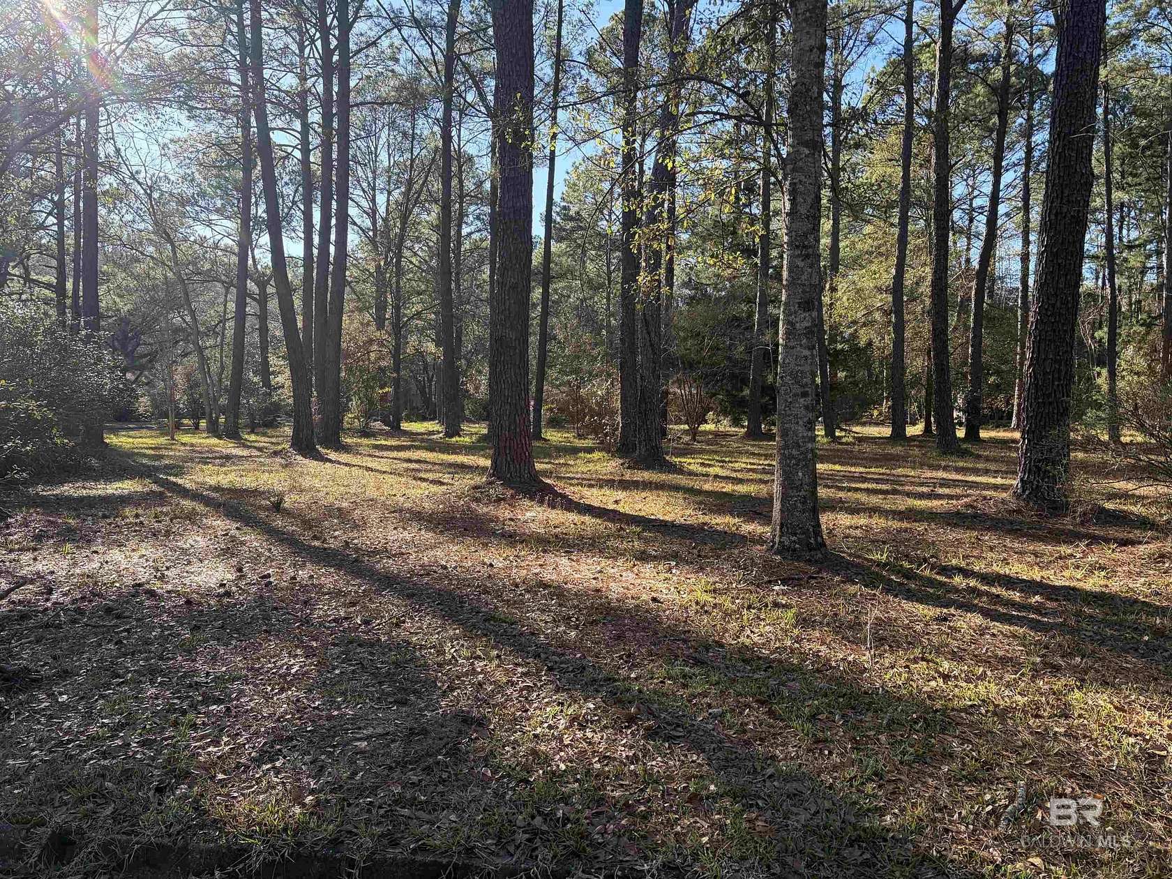 3.4 Acres of Residential Land for Sale in Mobile, Alabama