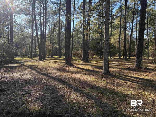 3.4 Acres of Residential Land for Sale in Mobile, Alabama
