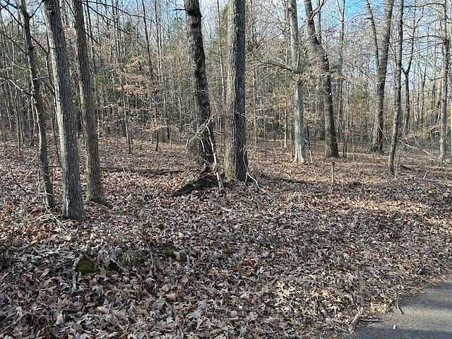 28.5 Acres of Recreational Land for Sale in Scottsville, Kentucky