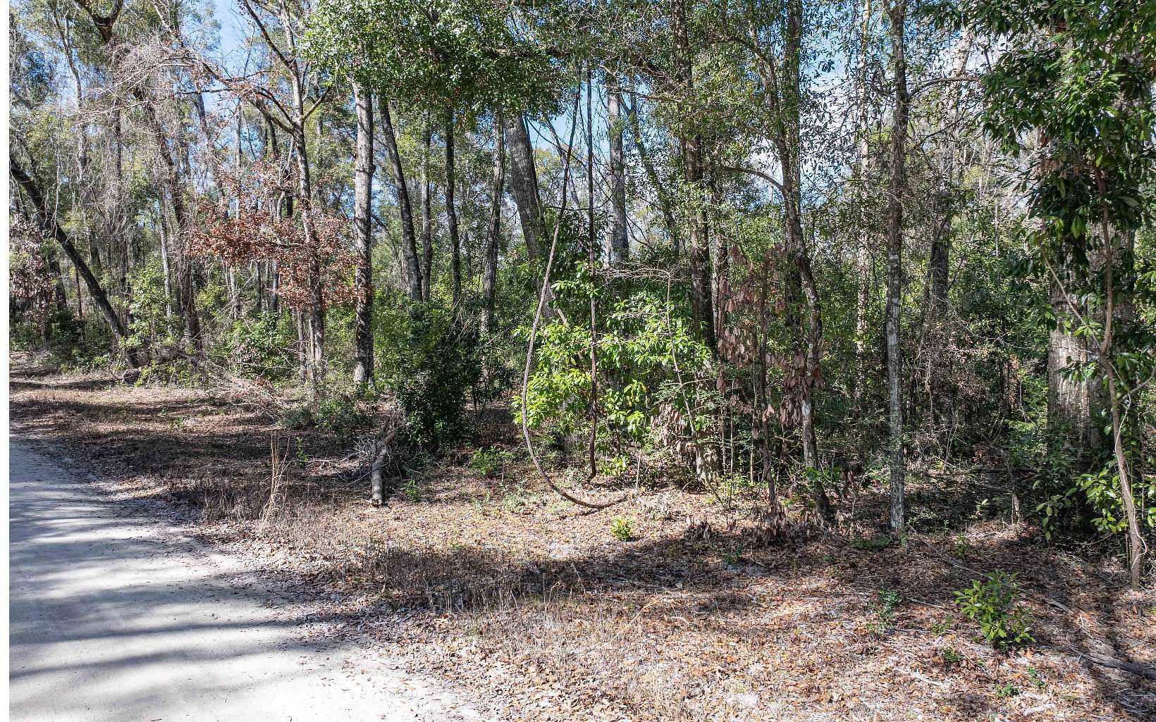 1 Acre of Residential Land for Sale in Branford, Florida