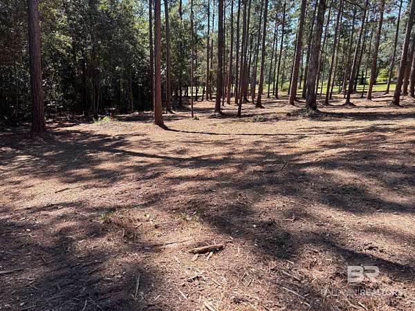 0.58 Acres of Residential Land for Sale in Loxley, Alabama