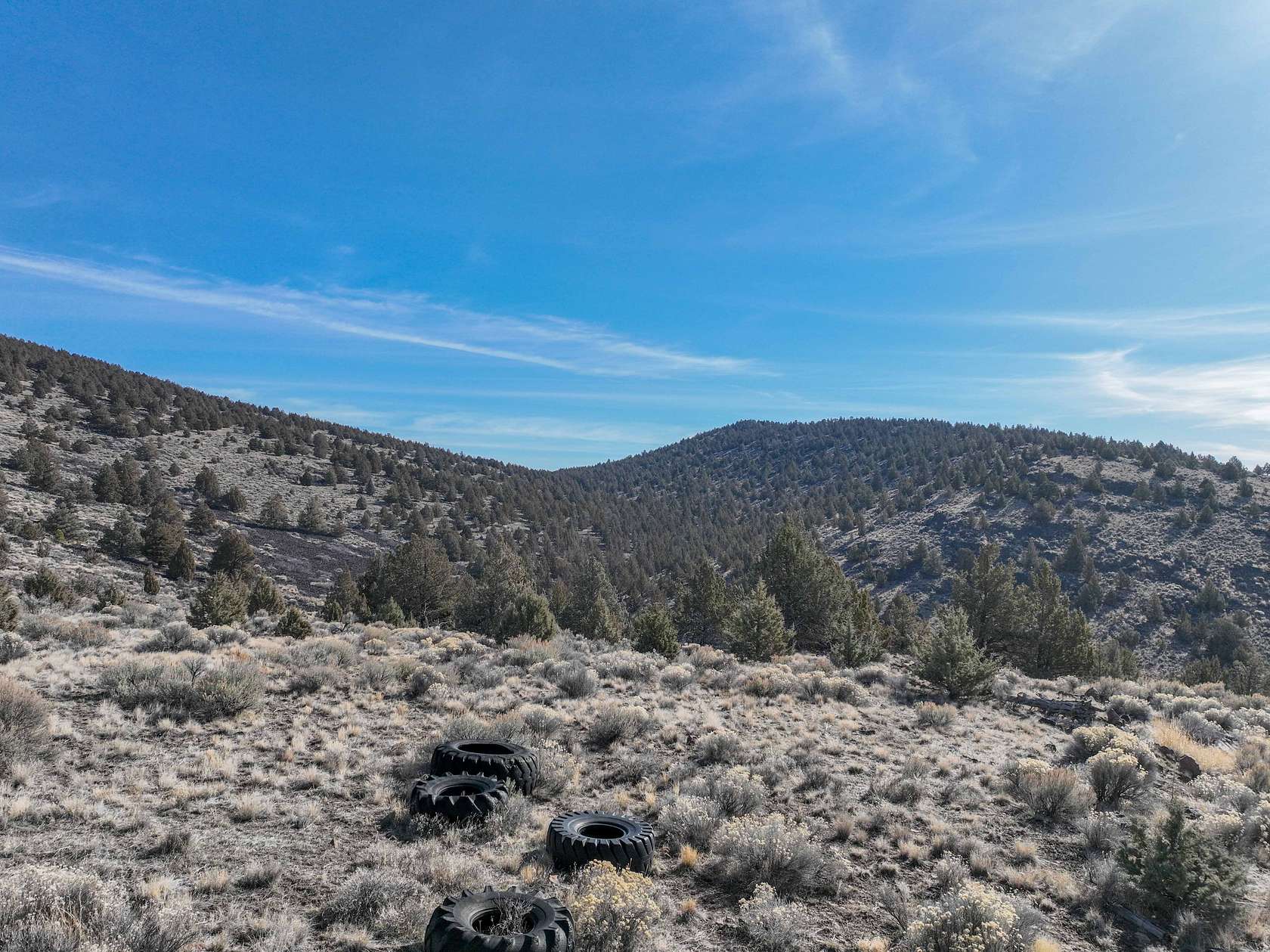 640 Acres of Land for Sale in Riley, Oregon