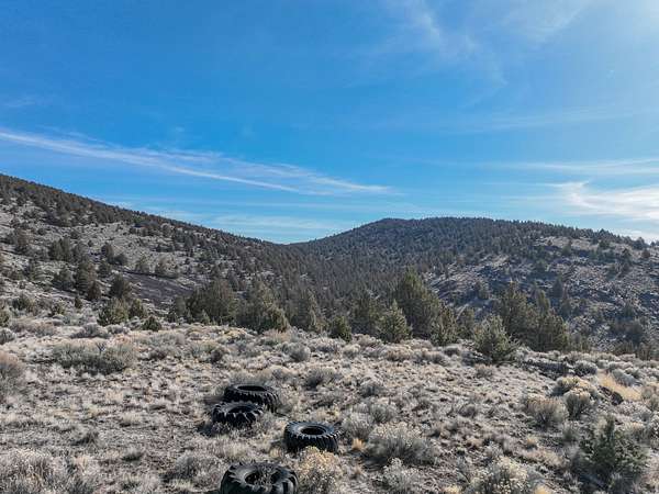 640 Acres of Recreational Land & Farm for Sale in Riley, Oregon