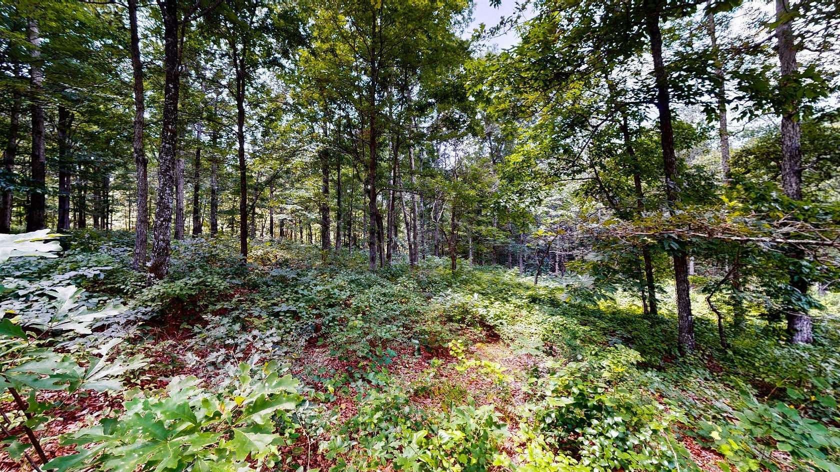 4 Acres of Residential Land for Sale in McEwen, Tennessee