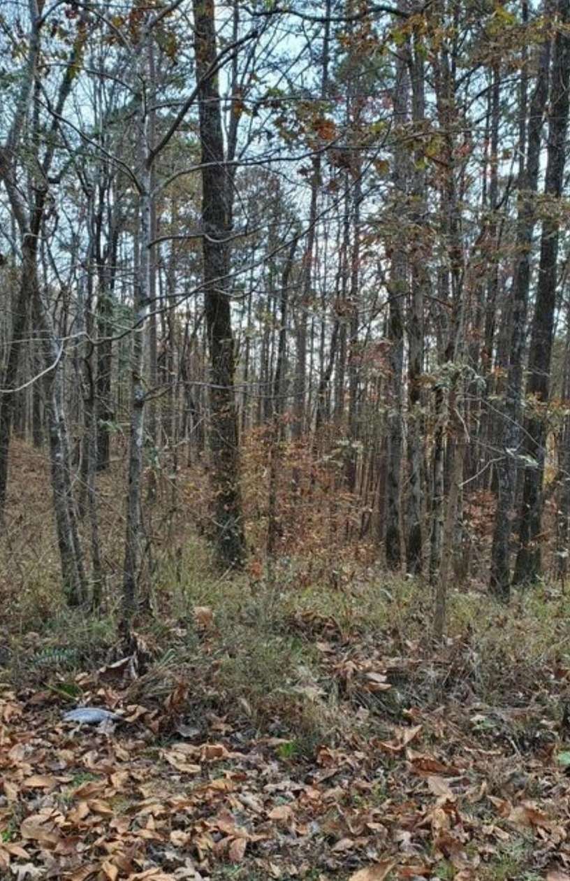 Residential Land for Sale in Jasper, Alabama