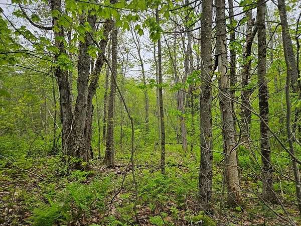 3.1 Acres of Residential Land for Sale in New Sharon, Maine