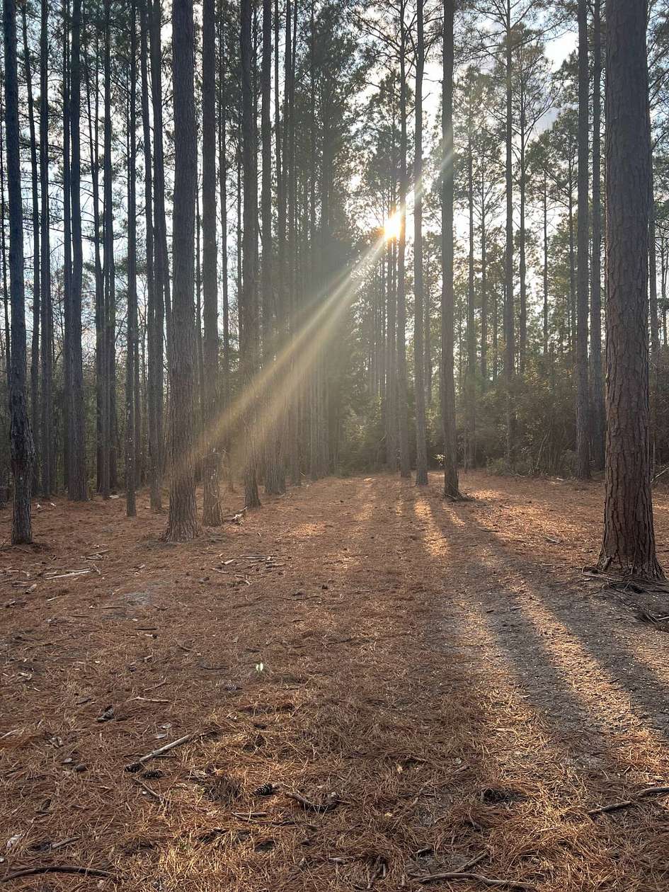 11 Acres of Land for Sale in Bonifay, Florida