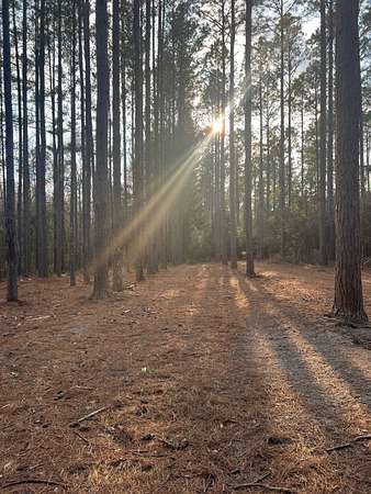 11 Acres of Land for Sale in Bonifay, Florida