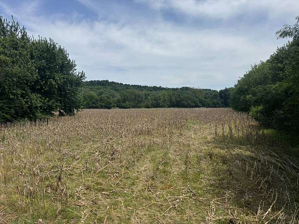 83.9 Acres of Recreational Land for Sale in Forest City, Missouri